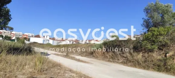 Земельный участок в Сантарен, Португалия № 68064 2