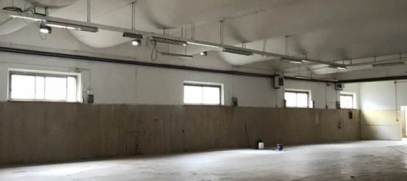 8 rooms House in Grosseto, Italy No. 281561 13