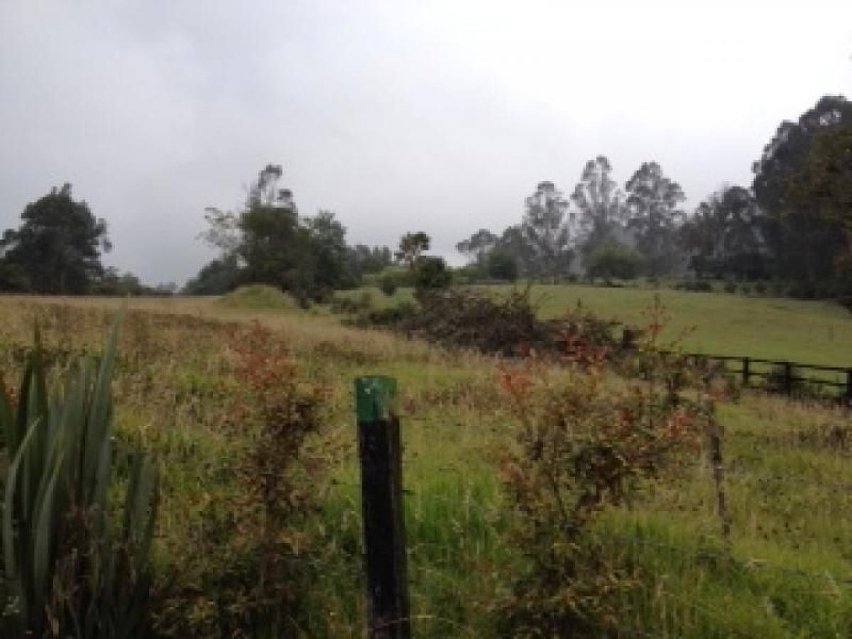 Studio in Cundinamarca, Colombia, Nr. 7275