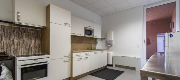 1514m² Office in Grieskirchen, Austria No. 162124 9