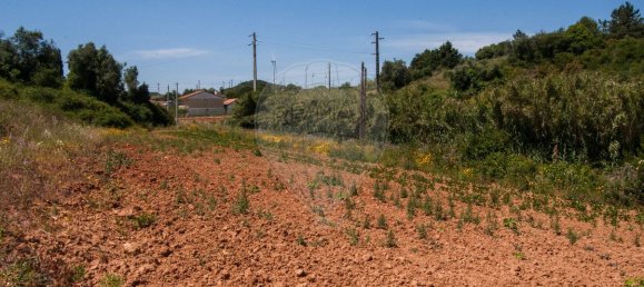 Terrain à Torres Vedras, Portugal 34370m² No. 90389 4