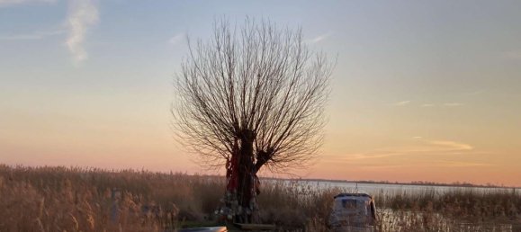 4 bedrooms House in Vorpommern-Greifswald, Germany No. 259520 35