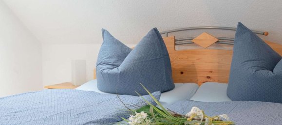 4 bedrooms House in Vorpommern-Greifswald, Germany No. 259520 13