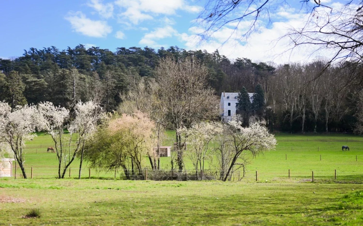 3 Schlafzimmer Haus in Vourles, France, Nr. 172400