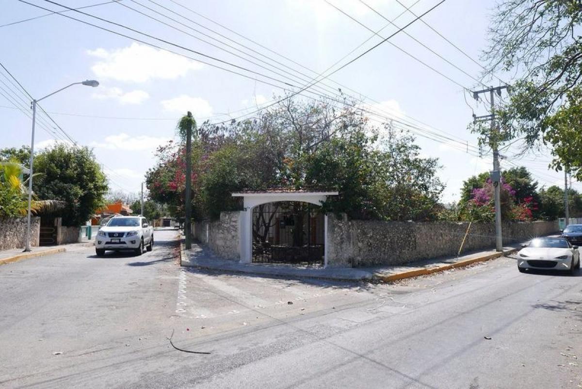 Studio in Yucatan, Mexico No. 151587