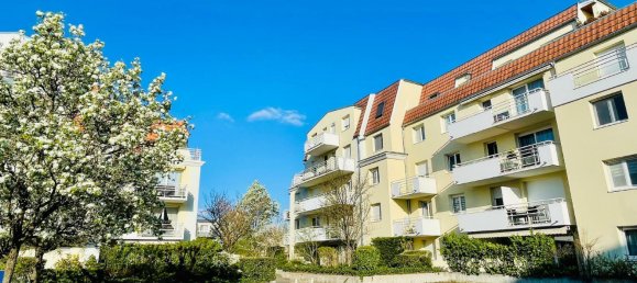 Apartamento de 2 dormitorios en Illkirch-Graffenstaden, France No. 88376 8