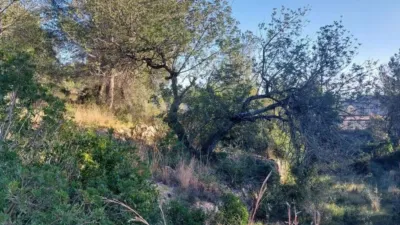 Grundstück in El Vendrell, Spain 13575m², Nr. 252895