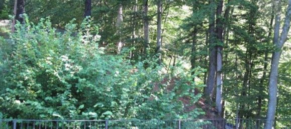 3-salle Duplex à Craveggia, Italy No. 195827 23