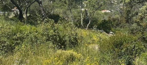 Imóvel comercial em São Brás de Alportel, Portugal 26 m² N.º 236221 8