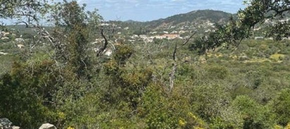 Imóvel comercial em São Brás de Alportel, Portugal 26 m² N.º 236221 13