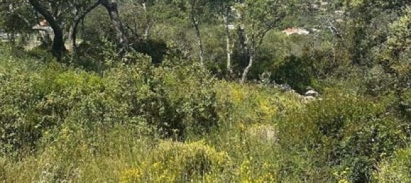 Imóvel comercial em São Brás de Alportel, Portugal 26 m² N.º 236221 6