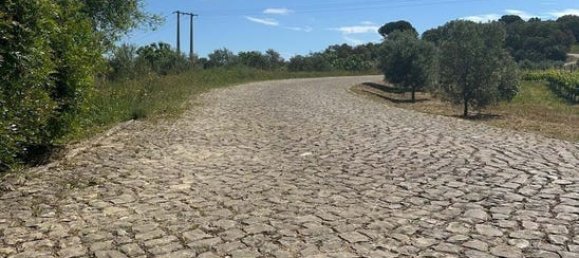 Imóvel comercial em São Brás de Alportel, Portugal 26 m² N.º 236221 14