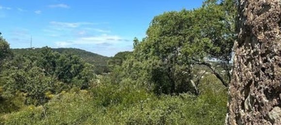 Imóvel comercial em São Brás de Alportel, Portugal 26 m² N.º 236221 7