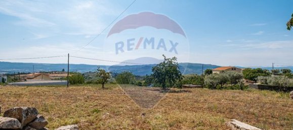 3 غرف نوم منزل في Sendim, Portugal رقم 170207 10