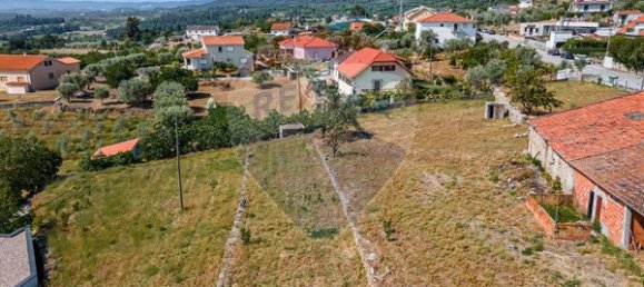 3 غرف نوم منزل في Sendim, Portugal رقم 170207 2