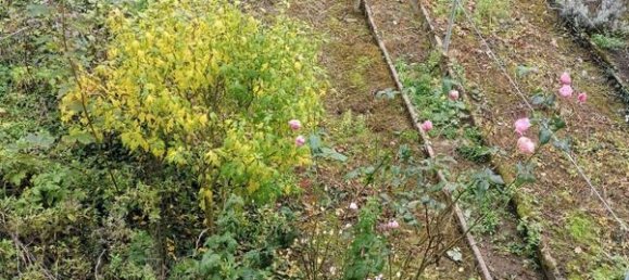 1 bedroom Apartment in Algrange, France No. 73646 6