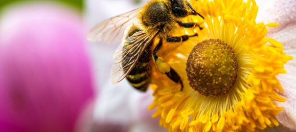  Land in Weimar, Germany No. 248541 23