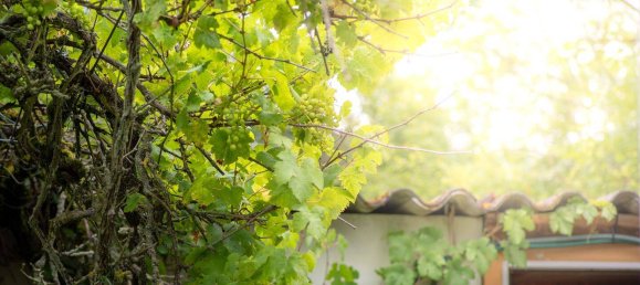  Land in Weimar, Germany No. 248541 2