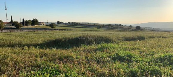 5 rooms House in Modica, Italy No. 224857 49