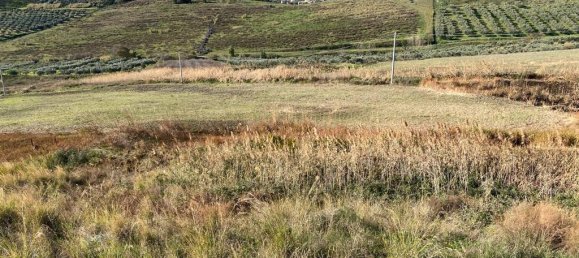 Terreno de 1 habitación en Sellia Marina, Italy No. 31011 2