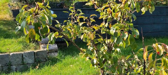 Terreno em Dresden, Germany N.º 367452 16