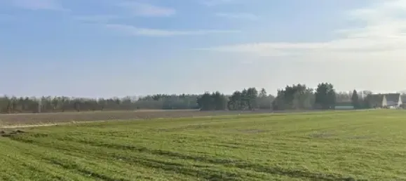 4-Zimmer Stadthaus in Brandenburg, Germany, Nr. 91941 12