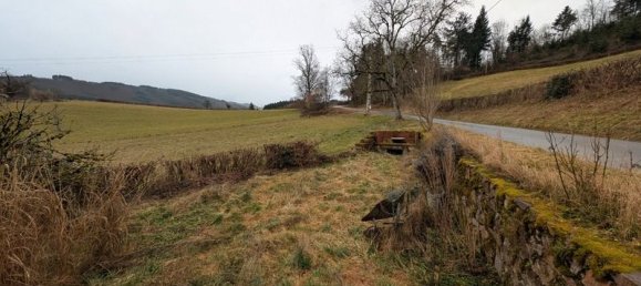 6 bedrooms House in Arfeuilles, France No. 200937 16