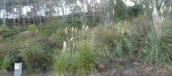  قطعة أرض في Corbera de Llobregat, Spain 2268متر مربع رقم 152823 4