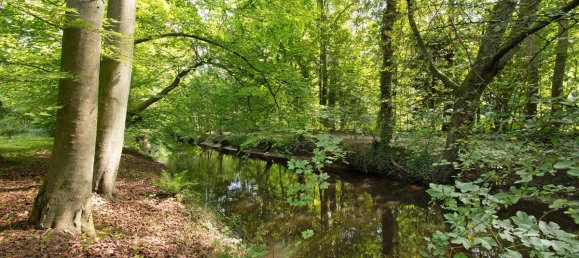 5 rooms Duplex in Wandsbek, Germany No. 290976 18