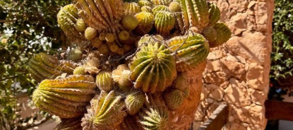 Casa T4 em Nijar, Spain N.º 149985 6