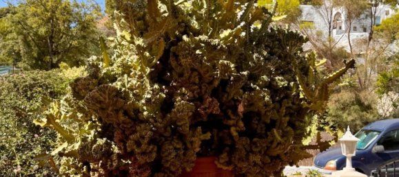 Casa T4 em Nijar, Spain N.º 149985 10