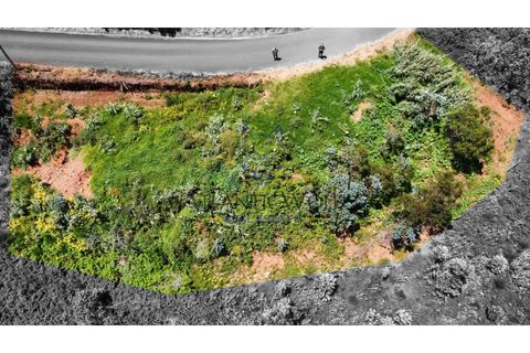  قطعة أرض في Porto Moniz, Portugal رقم 206072