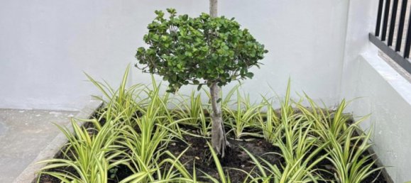 3 غرف نوم مقهى / مطعم في Pattaya, Thailand رقم 11718 30