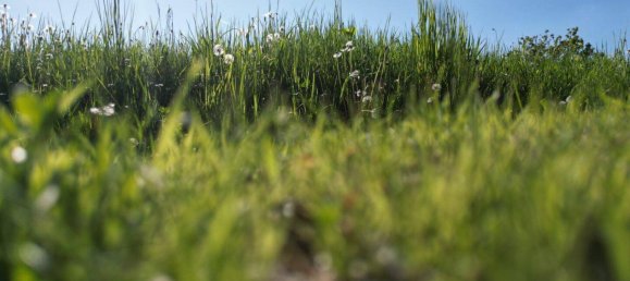 Земельный участок 1291м² в Раба-Грамбах, Австрия № 164570 5