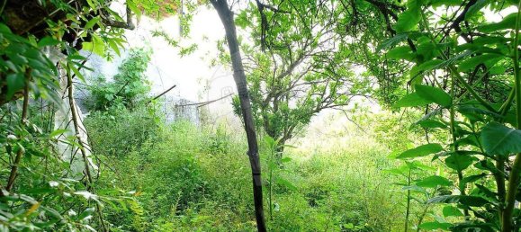 3 bedrooms House in Vila Nova de Poiares, Portugal No. 161801 22