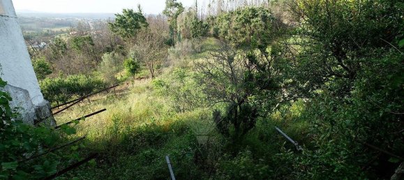 3 bedrooms House in Vila Nova de Poiares, Portugal No. 161801 23