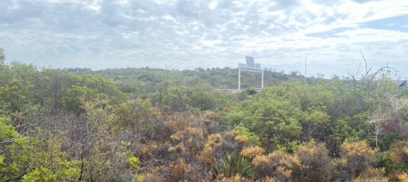 Terreno en Faro, Portugal No. 52363 18