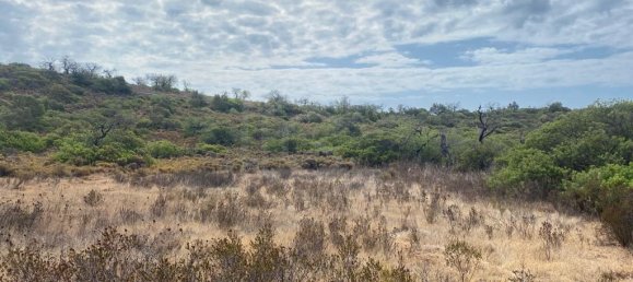 Terreno en Faro, Portugal No. 52363 24