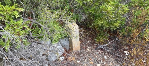 Terreno en Faro, Portugal No. 52363 19