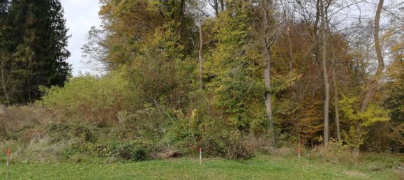 1700m² Land in Ehrenhausen an der Weinstrasse, Austria No. 79130 6