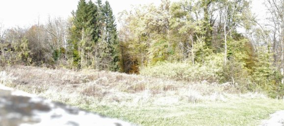 1700m² Land in Ehrenhausen an der Weinstrasse, Austria No. 79130 3