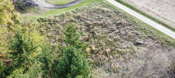 1700m² Land in Ehrenhausen an der Weinstrasse, Austria No. 79130 4