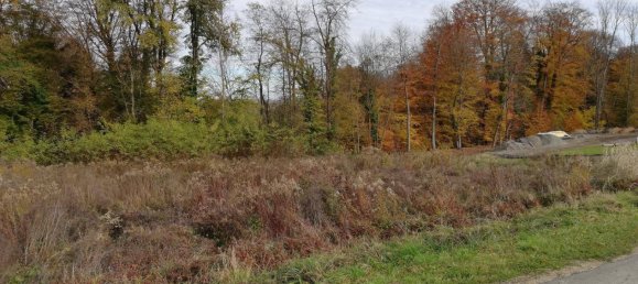 1700m² Land in Ehrenhausen an der Weinstrasse, Austria No. 79130 5