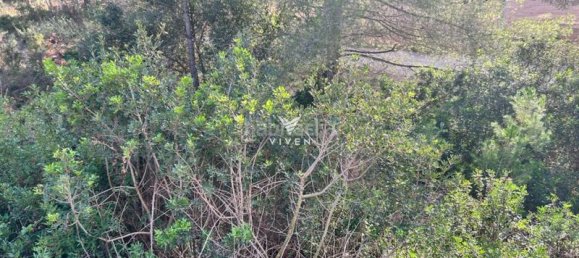 Grundstück in Barcelona, Spain 855m², Nr. 114549 5