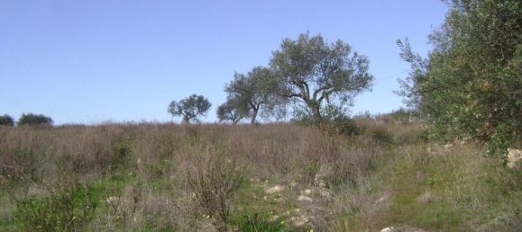 3-salle Maison à Noto, Italy No. 67907 20