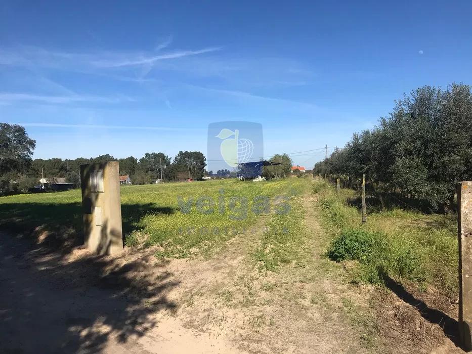 Terreno en Salvaterra de Magos, Portugal 10000 m² No. 338964
