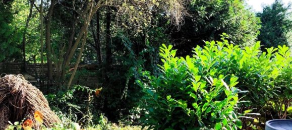 Casa de 1 dormitorio en Lahn-Dill, Germany No. 218810 5