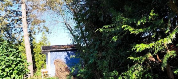 Casa de 1 dormitorio en Lahn-Dill, Germany No. 218810 6