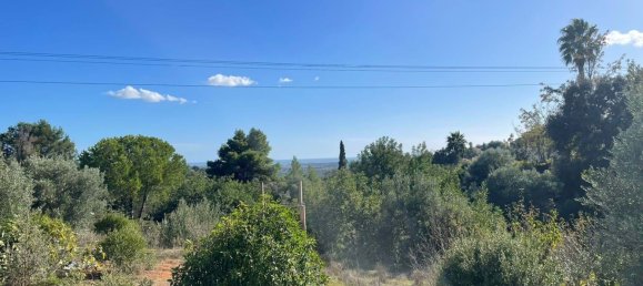  Land in Silves, Portugal No. 129618 12