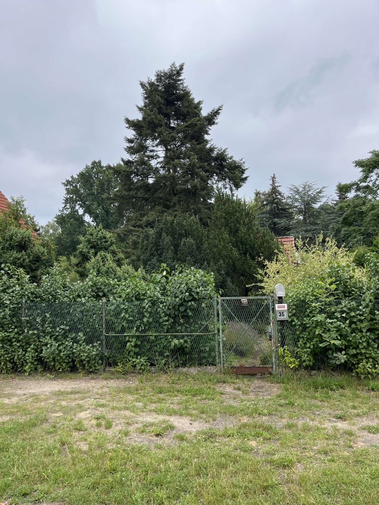 1 bedroom House in Dahme-Spreewald, Germany No. 25236